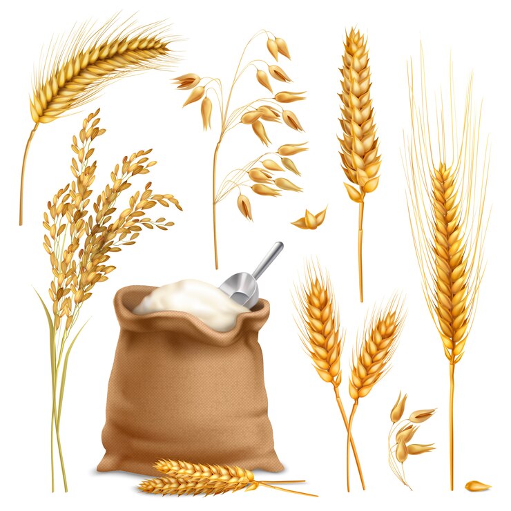 Sample Product Image